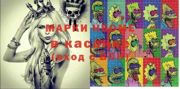 ГАЛЛЮЦИНОГЕННЫЕ ГРИБЫ Няндома