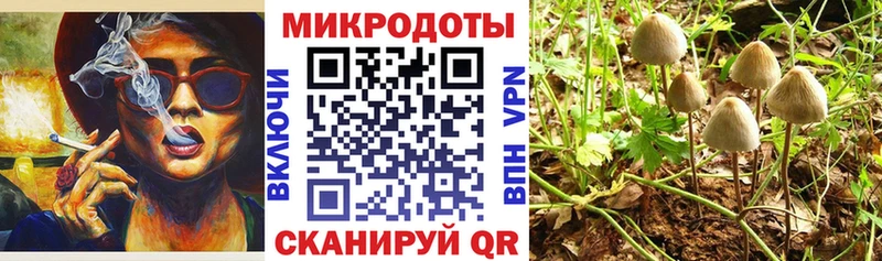 Псилоцибиновые грибы ЛСД  Купить где  Курган